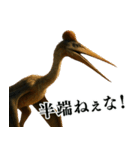 ⚫翼竜【毎日使える恐竜シリーズ】古代生物（個別スタンプ：36）