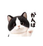 動く！ぬいぐるみ風ねこ❤️日常会話（個別スタンプ：3）