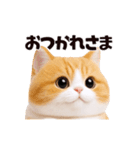 動く！ぬいぐるみ風ねこ❤️日常会話（個別スタンプ：5）