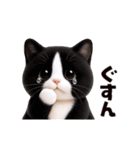 動く！ぬいぐるみ風ねこ❤️日常会話（個別スタンプ：15）