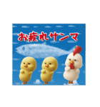 にわとり＆ひよこのおスタンプ6（個別スタンプ：3）