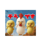 にわとり＆ひよこのおスタンプ6（個別スタンプ：5）
