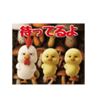 にわとり＆ひよこのおスタンプ6（個別スタンプ：13）