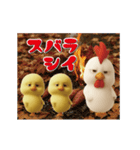 にわとり＆ひよこのおスタンプ6（個別スタンプ：17）