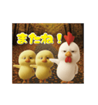 にわとり＆ひよこのおスタンプ6（個別スタンプ：22）