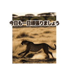 背景が動く▶︎自然が好き-サバンナ・北極-（個別スタンプ：2）