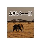 背景が動く▶︎自然が好き-サバンナ・北極-（個別スタンプ：7）