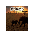 背景が動く▶︎自然が好き-サバンナ・北極-（個別スタンプ：8）