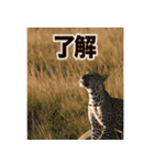 背景が動く▶︎自然が好き-サバンナ・北極-（個別スタンプ：12）
