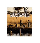 背景が動く▶︎自然が好き-サバンナ・北極-（個別スタンプ：15）