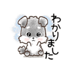 愛犬♡シュナウザー★気づかい【メモ入り】（個別スタンプ：5）