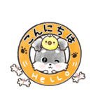 愛犬♡シュナウザー★気づかい【メモ入り】（個別スタンプ：7）