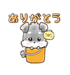 愛犬♡シュナウザー★気づかい【メモ入り】（個別スタンプ：9）