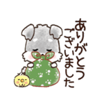愛犬♡シュナウザー★気づかい【メモ入り】（個別スタンプ：10）
