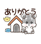 愛犬♡シュナウザー★気づかい【メモ入り】（個別スタンプ：12）