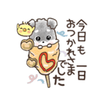 愛犬♡シュナウザー★気づかい【メモ入り】（個別スタンプ：15）