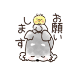 愛犬♡シュナウザー★気づかい【メモ入り】（個別スタンプ：17）