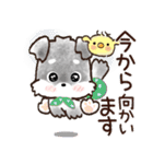 愛犬♡シュナウザー★気づかい【メモ入り】（個別スタンプ：22）