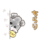 愛犬♡シュナウザー★気づかい【メモ入り】（個別スタンプ：32）