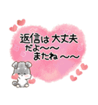 愛犬♡シュナウザー★気づかい【メモ入り】（個別スタンプ：40）