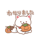 キツネの日々色々4（秋の白狐）（個別スタンプ：10）