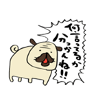 荒ぶるぱぐお（個別スタンプ：15）