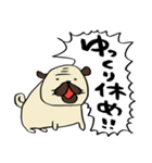 荒ぶるぱぐお（個別スタンプ：19）