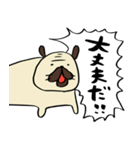 荒ぶるぱぐお（個別スタンプ：21）