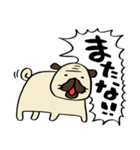 荒ぶるぱぐお（個別スタンプ：40）