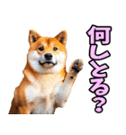 岐阜弁☆柴犬（個別スタンプ：6）
