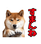 岐阜弁☆柴犬（個別スタンプ：7）
