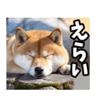 岐阜弁☆柴犬（個別スタンプ：13）