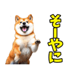 岐阜弁☆柴犬（個別スタンプ：14）