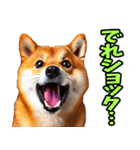 岐阜弁☆柴犬（個別スタンプ：19）