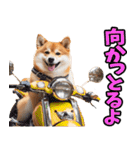 岐阜弁☆柴犬（個別スタンプ：27）