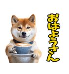 岐阜弁☆柴犬（個別スタンプ：28）