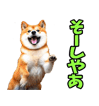 岐阜弁☆柴犬（個別スタンプ：30）