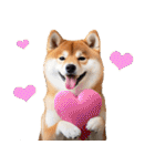 岐阜弁☆柴犬（個別スタンプ：38）