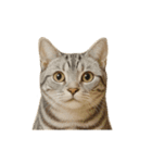 進撃のニャンコ（個別スタンプ：13）