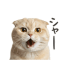 進撃のニャンコ（個別スタンプ：17）