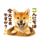 優しい水彩画♡柴犬スタンプ（個別スタンプ：2）