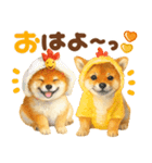 優しい水彩画♡柴犬スタンプ（個別スタンプ：4）
