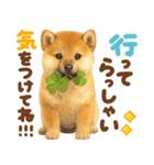 優しい水彩画♡柴犬スタンプ（個別スタンプ：5）