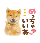 優しい水彩画♡柴犬スタンプ（個別スタンプ：7）