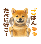 優しい水彩画♡柴犬スタンプ（個別スタンプ：9）