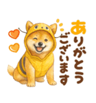 優しい水彩画♡柴犬スタンプ（個別スタンプ：21）