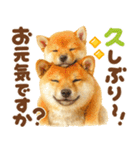 優しい水彩画♡柴犬スタンプ（個別スタンプ：22）