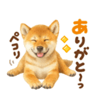 優しい水彩画♡柴犬スタンプ（個別スタンプ：26）