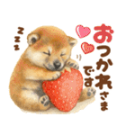 優しい水彩画♡柴犬スタンプ（個別スタンプ：27）