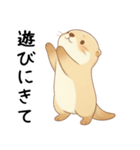 わがままで甘えたいカワウソ[恋人へ]（個別スタンプ：32）